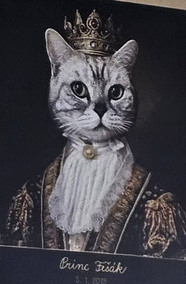 Princ Fišák